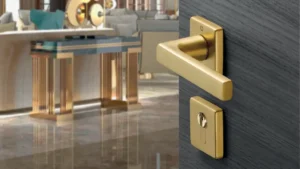 Hoppe Brass Handles