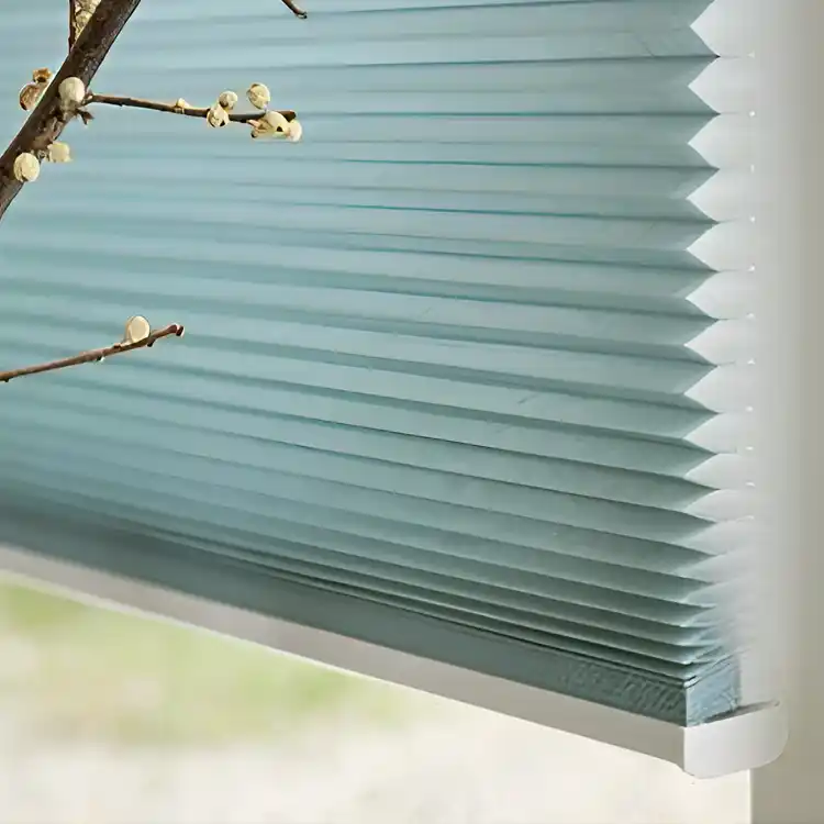 Honeycomb Blinds